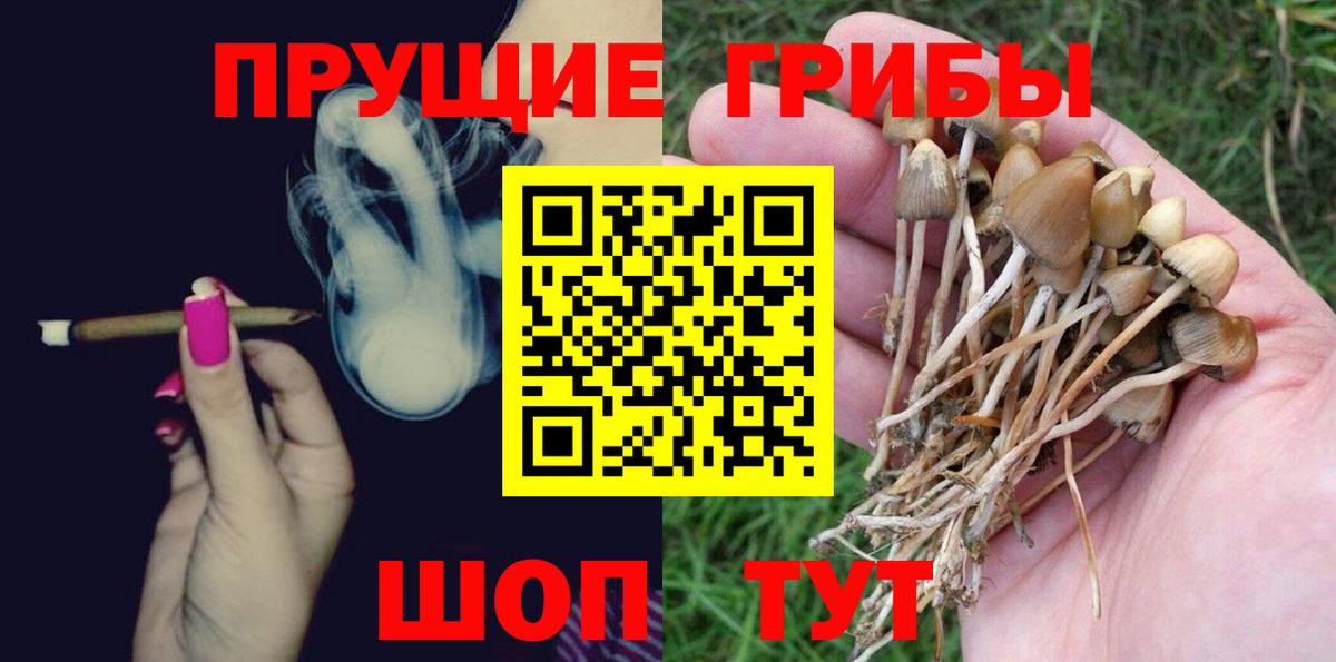 что такое   Вход с VPN  Псилоцибиновые грибы GOLDEN TEACHER  Чернушка  Галлюциногенные грибы прущие грибы 
