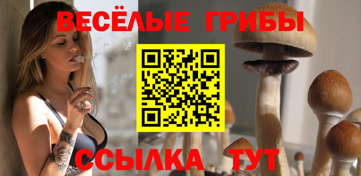 Галлюциногенные грибы ЛСД Чернушка