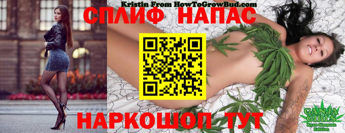 Конопля MAZAR Чернушка