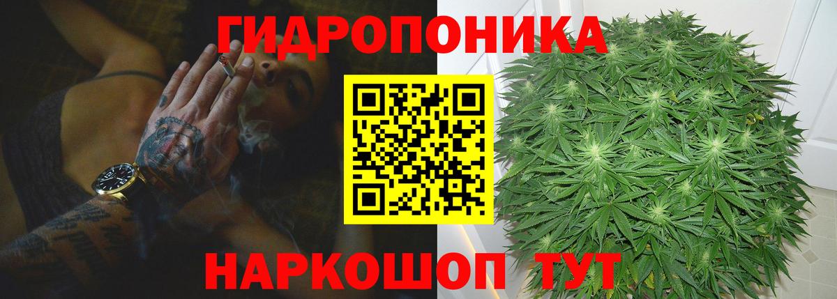 Чернушка  МАРИХУАНА Amnesia  Марихуана OG Kush  Вход с VPN 